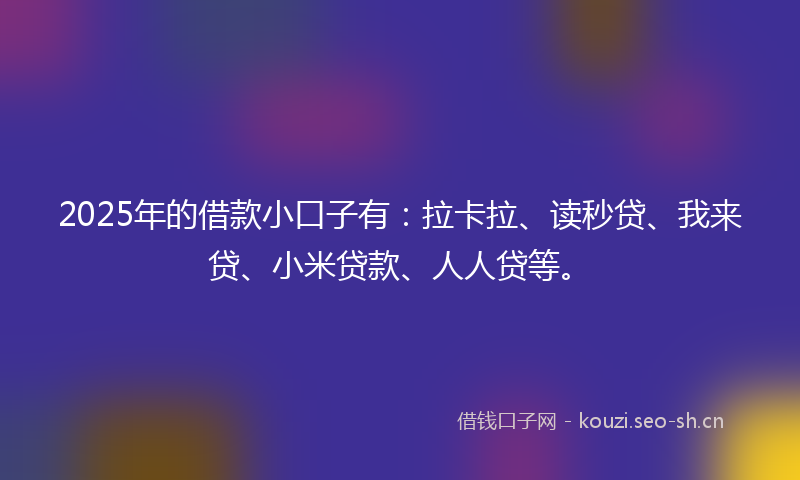 2025年的借款小口子有：拉卡拉、读秒贷、我来贷、小米贷款、人人贷等。