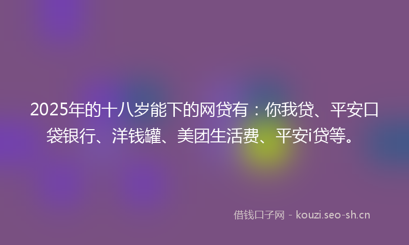 2025年的十八岁能下的网贷有：你我贷、平安口袋银行、洋钱罐、美团生活费、平安i贷等。