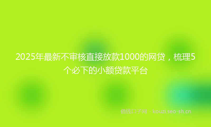 2025年最新不审核直接放款1000的网贷，梳理5个必下的小额贷款平台