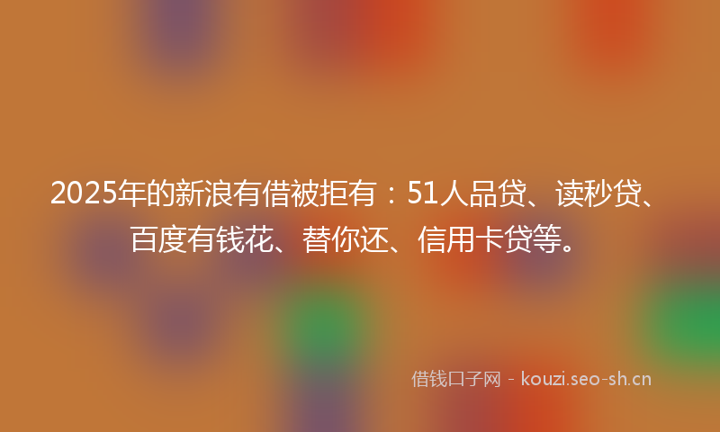 2025年的新浪有借被拒有：51人品贷、读秒贷、百度有钱花、替你还、信用卡贷等。