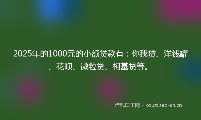 2025年的1000元的小额贷款有：你我贷、洋钱罐、花呗、微粒贷、柯基贷等。