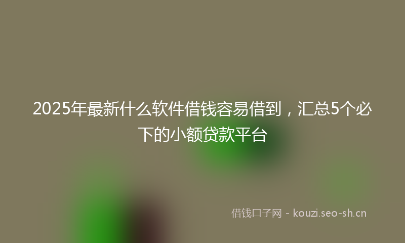 2025年最新什么软件借钱容易借到，汇总5个必下的小额贷款平台