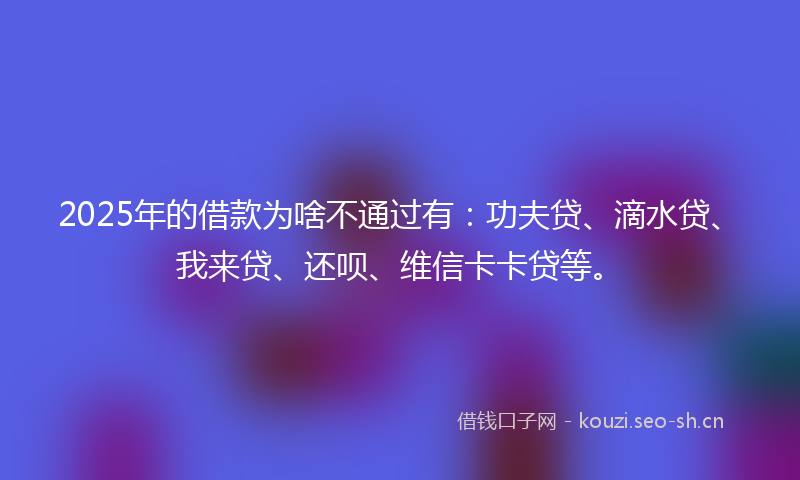 2025年的借款为啥不通过有：功夫贷、滴水贷、我来贷、还呗、维信卡卡贷等。
