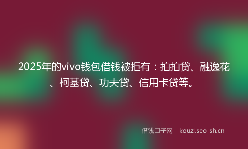 2025年的vivo钱包借钱被拒有：拍拍贷、融逸花、柯基贷、功夫贷、信用卡贷等。