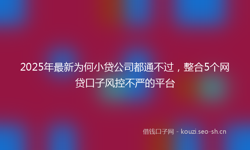 2025年最新为何小贷公司都通不过，整合5个网贷口子风控不严的平台