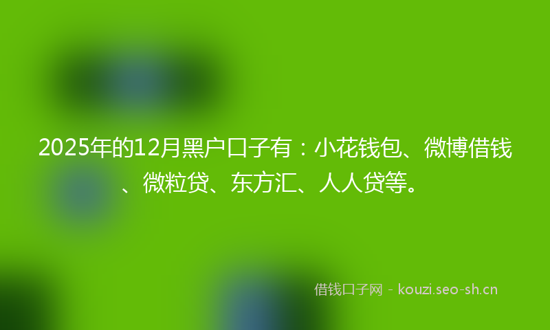 2025年的12月黑户口子有：小花钱包、微博借钱、微粒贷、东方汇、人人贷等。