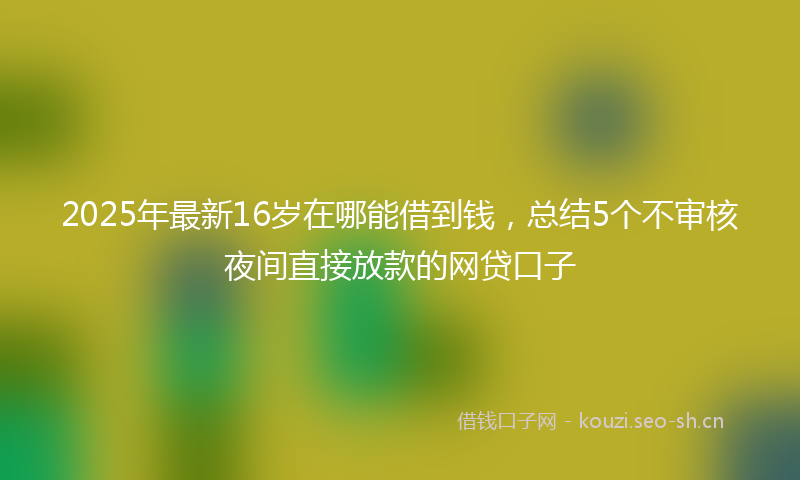 2025年最新16岁在哪能借到钱，总结5个不审核夜间直接放款的网贷口子