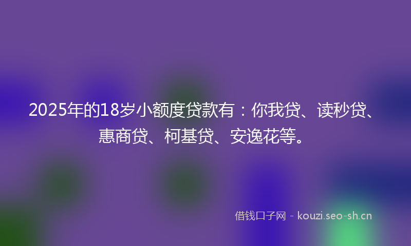 2025年的18岁小额度贷款有：你我贷、读秒贷、惠商贷、柯基贷、安逸花等。