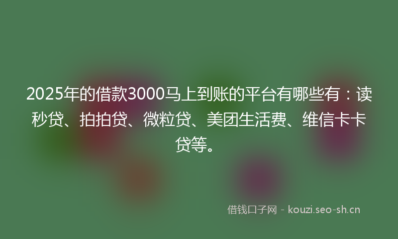 2025年的借款3000马上到账的平台有哪些有：读秒贷、拍拍贷、微粒贷、美团生活费、维信卡卡贷等。