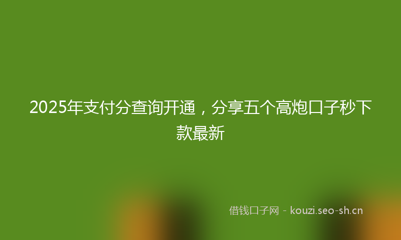 2025年支付分查询开通，分享五个高炮口子秒下款最新