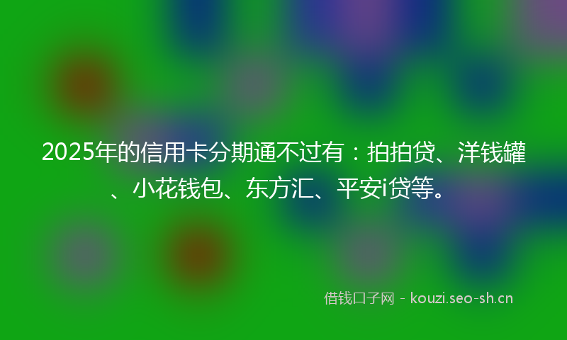 2025年的信用卡分期通不过有:拍拍贷、洋钱罐、小花钱包、东方汇、平安i贷等。
