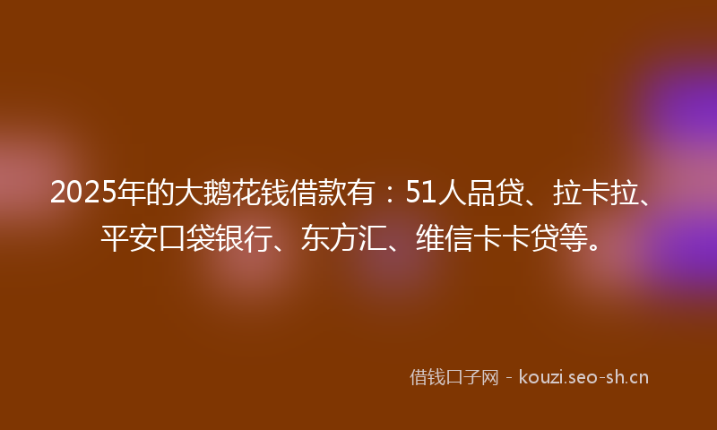 2025年的大鹅花钱借款有：51人品贷、拉卡拉、平安口袋银行、东方汇、维信卡卡贷等。