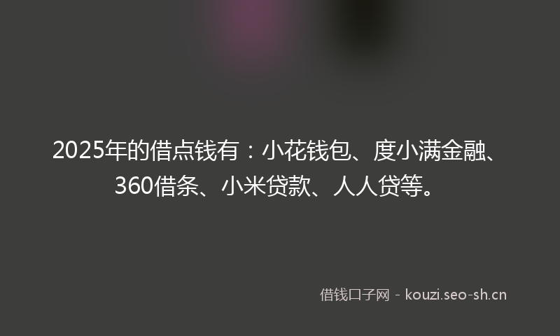 2025年的借点钱有：小花钱包、度小满金融、360借条、小米贷款、人人贷等。