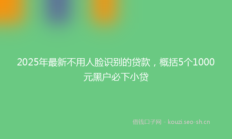 2025年最新不用人脸识别的贷款，概括5个1000元黑户必下小贷