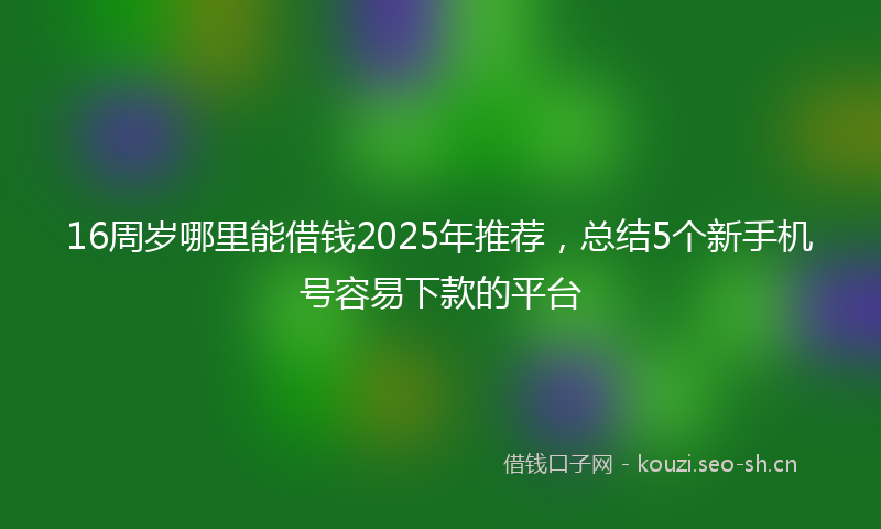 16周岁哪里能借钱2025年推荐，总结5个新手机号容易下款的平台