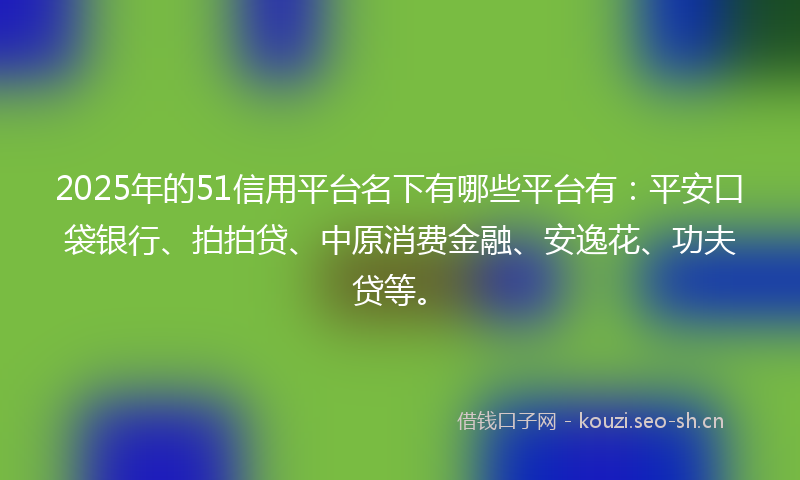 2025年的51信用平台名下有哪些平台有：平安口袋银行、拍拍贷、中原消费金融、安逸花、功夫贷等。