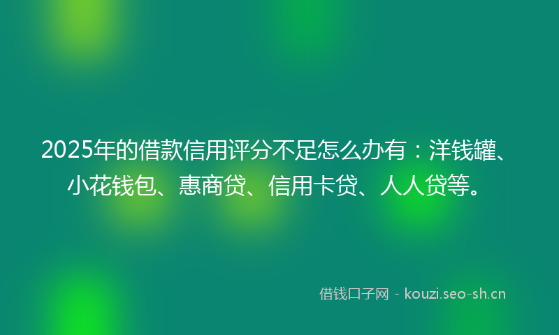 2025年的借款信用评分不足怎么办有：洋钱罐、小花钱包、惠商贷、信用卡贷、人人贷等。