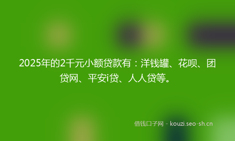 2025年的2千元小额贷款有：洋钱罐、花呗、团贷网、平安i贷、人人贷等。