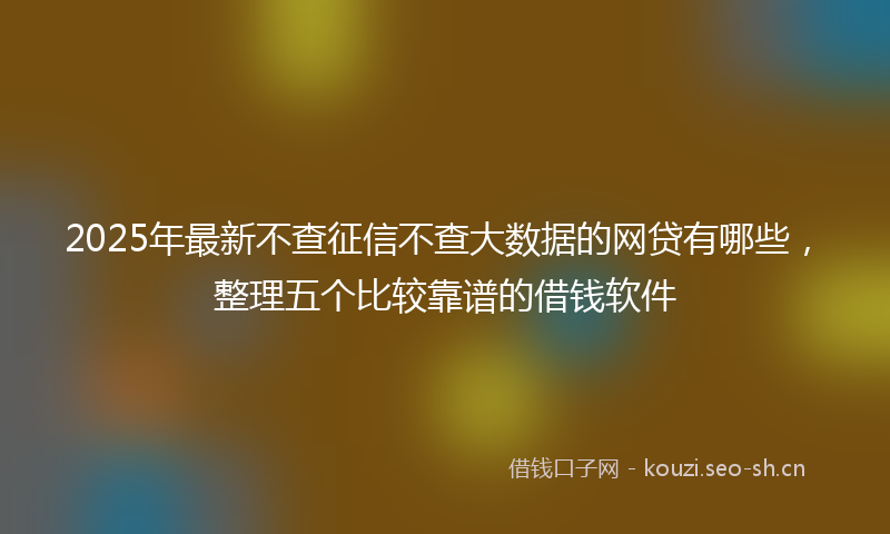 2025年最新不查征信不查大数据的网贷有哪些，整理五个比较靠谱的借钱软件