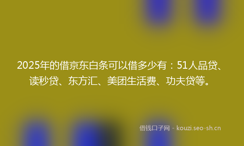 2025年的借京东白条可以借多少有：51人品贷、读秒贷、东方汇、美团生活费、功夫贷等。