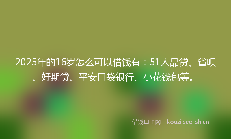 2025年的16岁怎么可以借钱有：51人品贷、省呗、好期贷、平安口袋银行、小花钱包等。