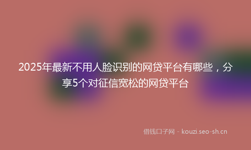 2025年最新不用人脸识别的网贷平台有哪些，分享5个对征信宽松的网贷平台