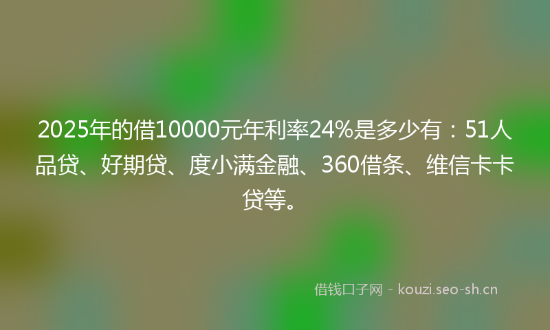 2025年的借10000元年利率24%是多少有：51人品贷、好期贷、度小满金融、360借条、维信卡卡贷等。