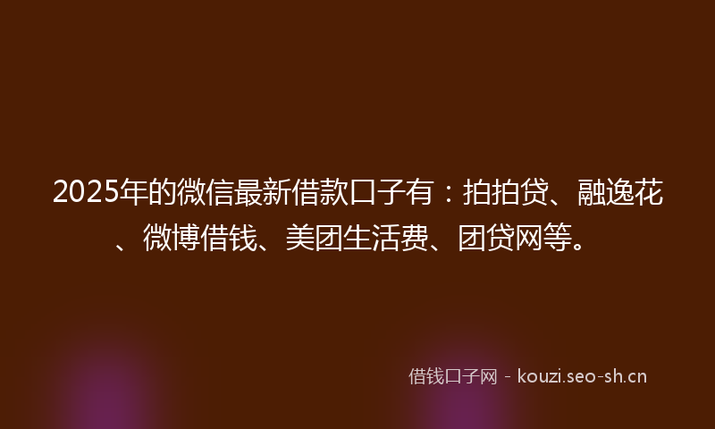 2025年的微信最新借款口子有：拍拍贷、融逸花、微博借钱、美团生活费、团贷网等。