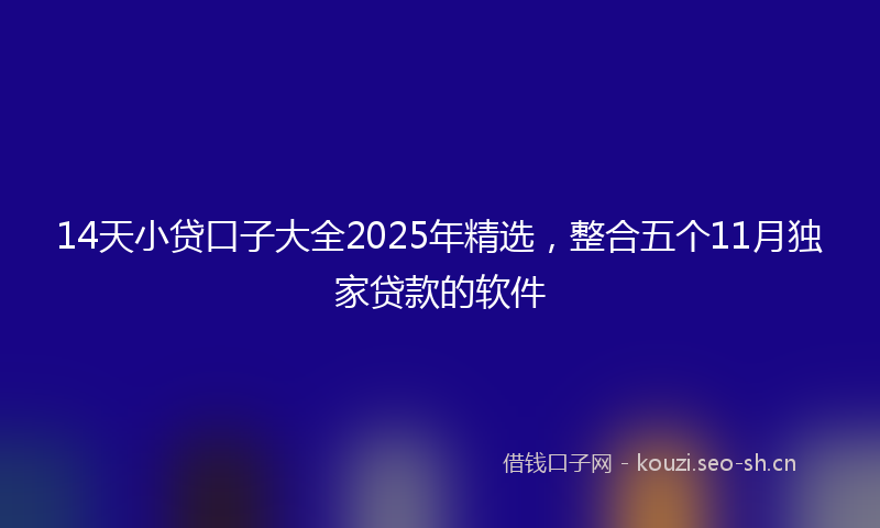 14天小贷口子大全2025年精选，整合五个11月独家贷款的软件