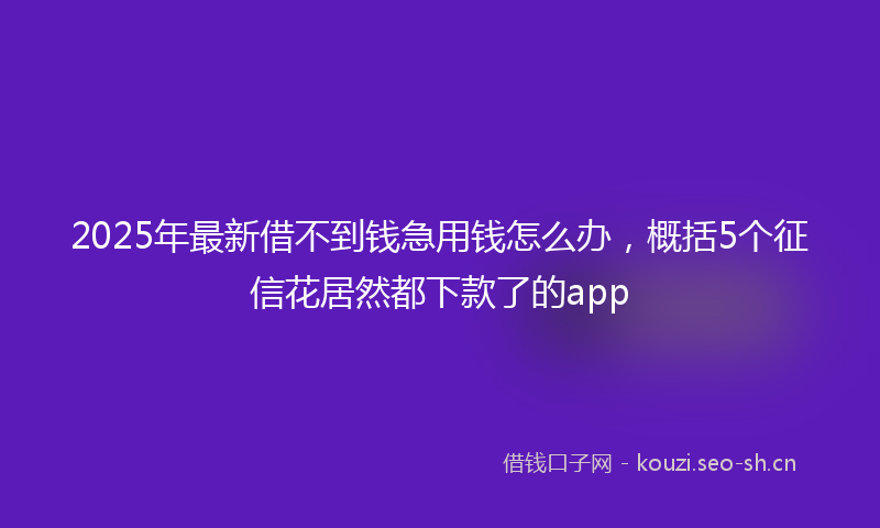 2025年最新借不到钱急用钱怎么办,概括5个征信花居然都下款了的app