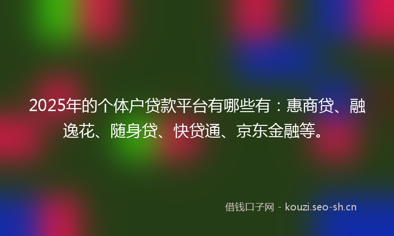 2025年的个体户贷款平台有哪些有：惠商贷、融逸花、随身贷、快贷通、京东金融等。