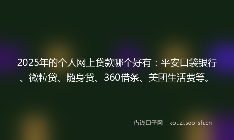 2025年的个人网上贷款哪个好有：平安口袋银行、微粒贷、随身贷、360借条、美团生活费等。