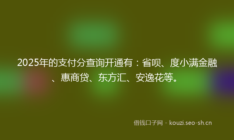 2025年的支付分查询开通有：省呗、度小满金融、惠商贷、东方汇、安逸花等。