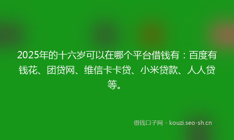 2025年的十六岁可以在哪个平台借钱有：百度有钱花、团贷网、维信卡卡贷、小米贷款、人人贷等。