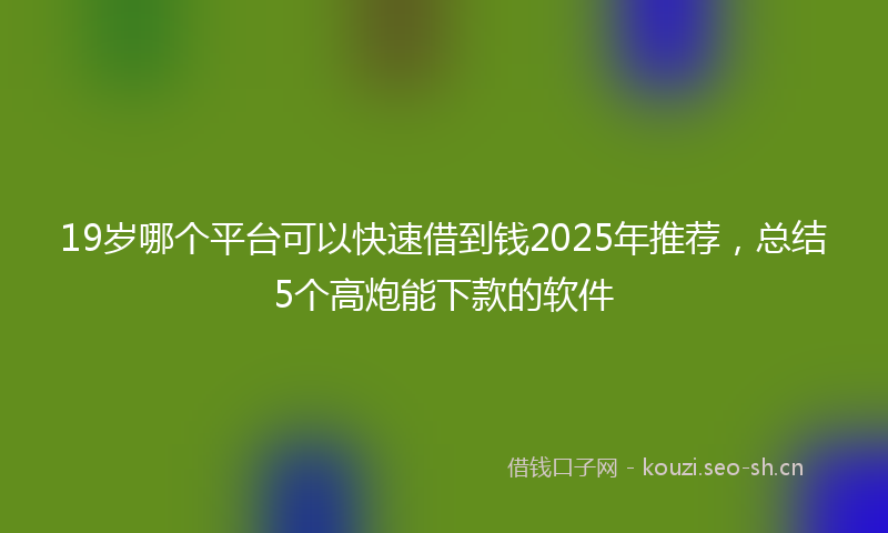 19岁哪个平台可以快速借到钱2025年推荐，总结5个高炮能下款的软件