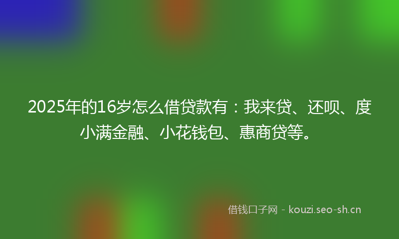 2025年的16岁怎么借贷款有：我来贷、还呗、度小满金融、小花钱包、惠商贷等。