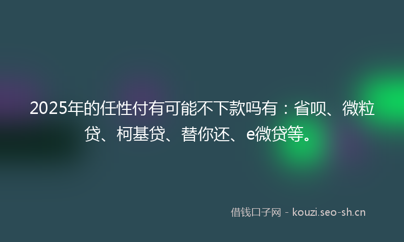 2025年的任性付有可能不下款吗有：省呗、微粒贷、柯基贷、替你还、e微贷等。