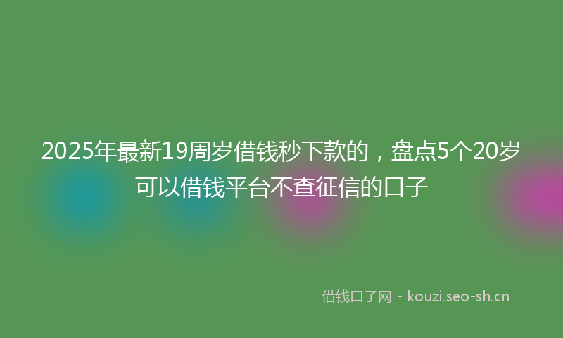 2025年最新19周岁借钱秒下款的，盘点5个20岁可以借钱平台不查征信的口子