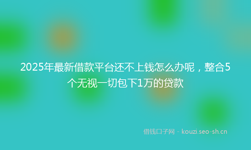2025年最新借款平台还不上钱怎么办呢，整合5个无视一切包下1万的贷款