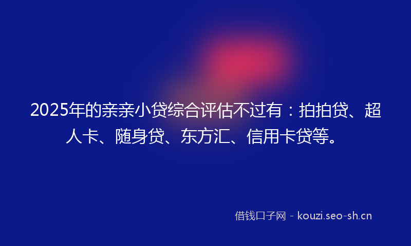 2025年的亲亲小贷综合评估不过有:拍拍贷、超人卡、随身贷、东方汇、信用卡贷等。