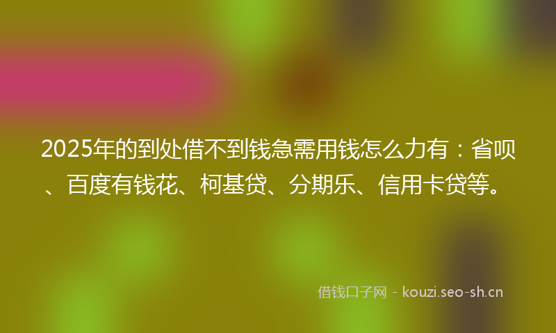 2025年的到处借不到钱急需用钱怎么力有：省呗、百度有钱花、柯基贷、分期乐、信用卡贷等。