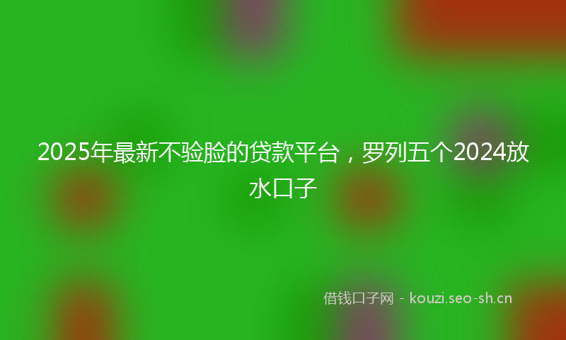 2025年最新不验脸的贷款平台，罗列五个2024放水口子
