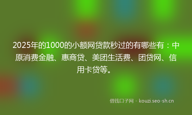 2025年的1000的小额网贷款秒过的有哪些有：中原消费金融、惠商贷、美团生活费、团贷网、信用卡贷等。