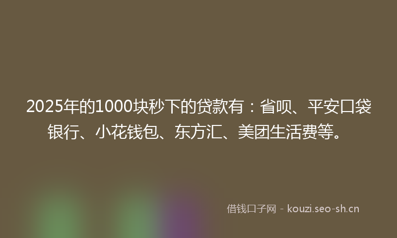2025年的1000块秒下的贷款有：省呗、平安口袋银行、小花钱包、东方汇、美团生活费等。