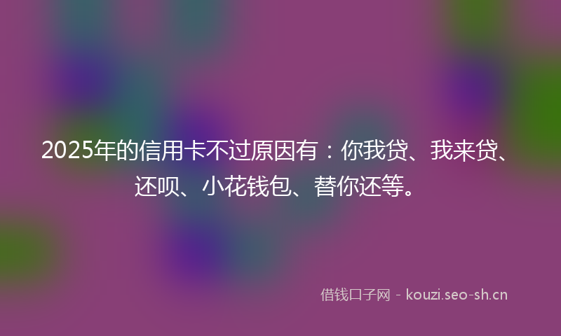 2025年的信用卡不过原因有：你我贷、我来贷、还呗、小花钱包、替你还等。