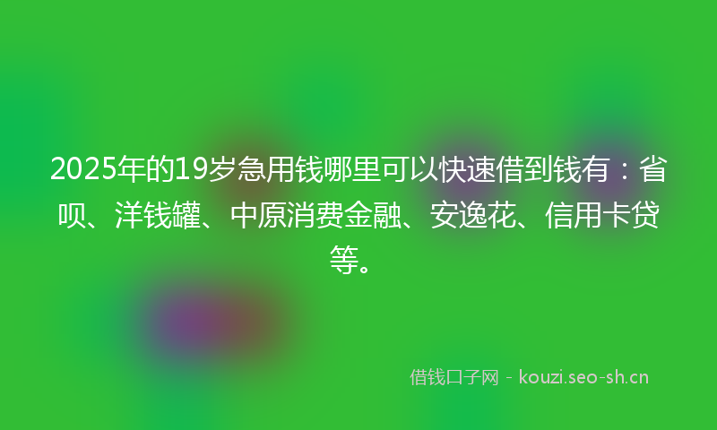 2025年的19岁急用钱哪里可以快速借到钱有：省呗、洋钱罐、中原消费金融、安逸花、信用卡贷等。