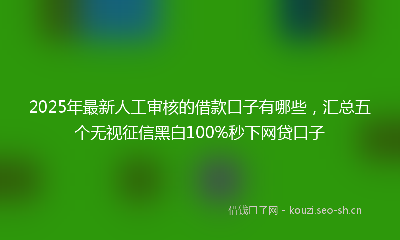 2025年最新人工审核的借款口子有哪些，汇总五个无视征信黑白100%秒下网贷口子