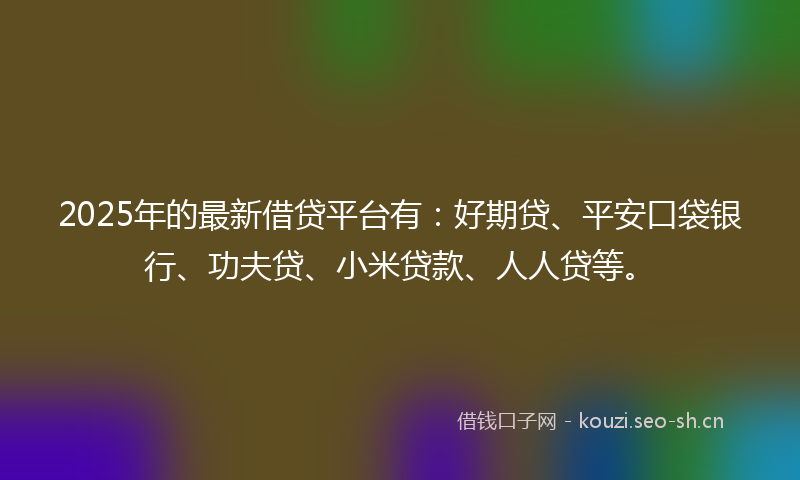 2025年的最新借贷平台有：好期贷、平安口袋银行、功夫贷、小米贷款、人人贷等。