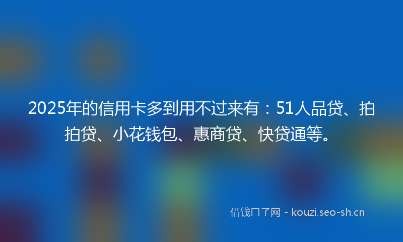2025年的信用卡多到用不过来有：51人品贷、拍拍贷、小花钱包、惠商贷、快贷通等。