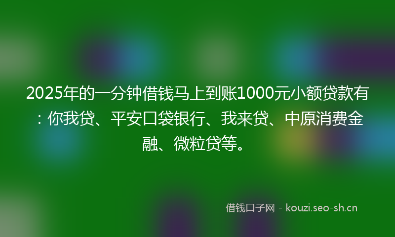2025年的一分钟借钱马上到账1000元小额贷款有：你我贷、平安口袋银行、我来贷、中原消费金融、微粒贷等。
